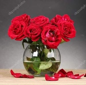 Meet your Posher, Wendy amalia